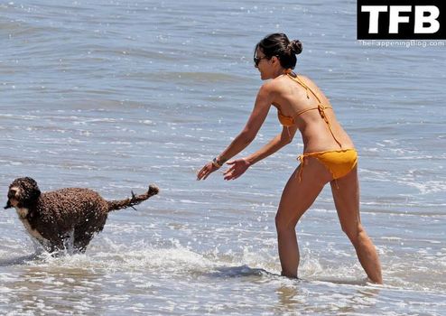Jordana Brewster