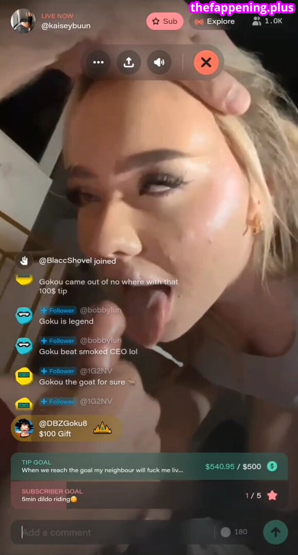kaiseybuuny