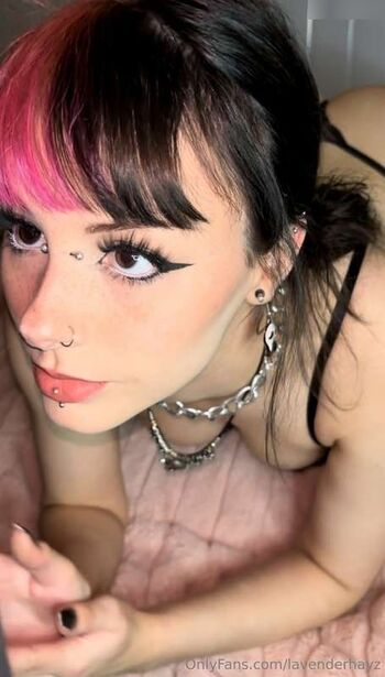 lavenderhayz