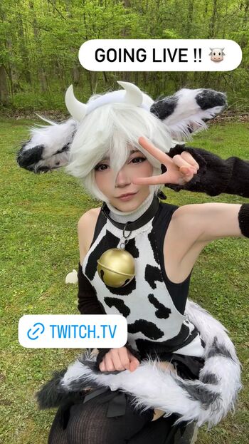 Mooimimo