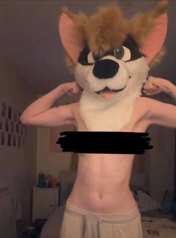 Murrsuit