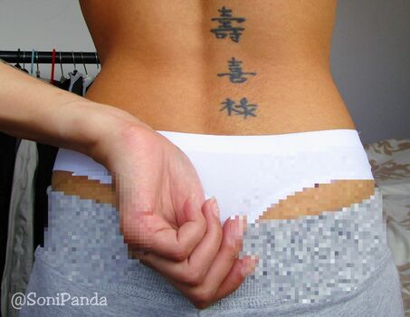 SoniPanda